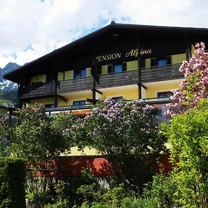 Cafe Alpina Penzion
